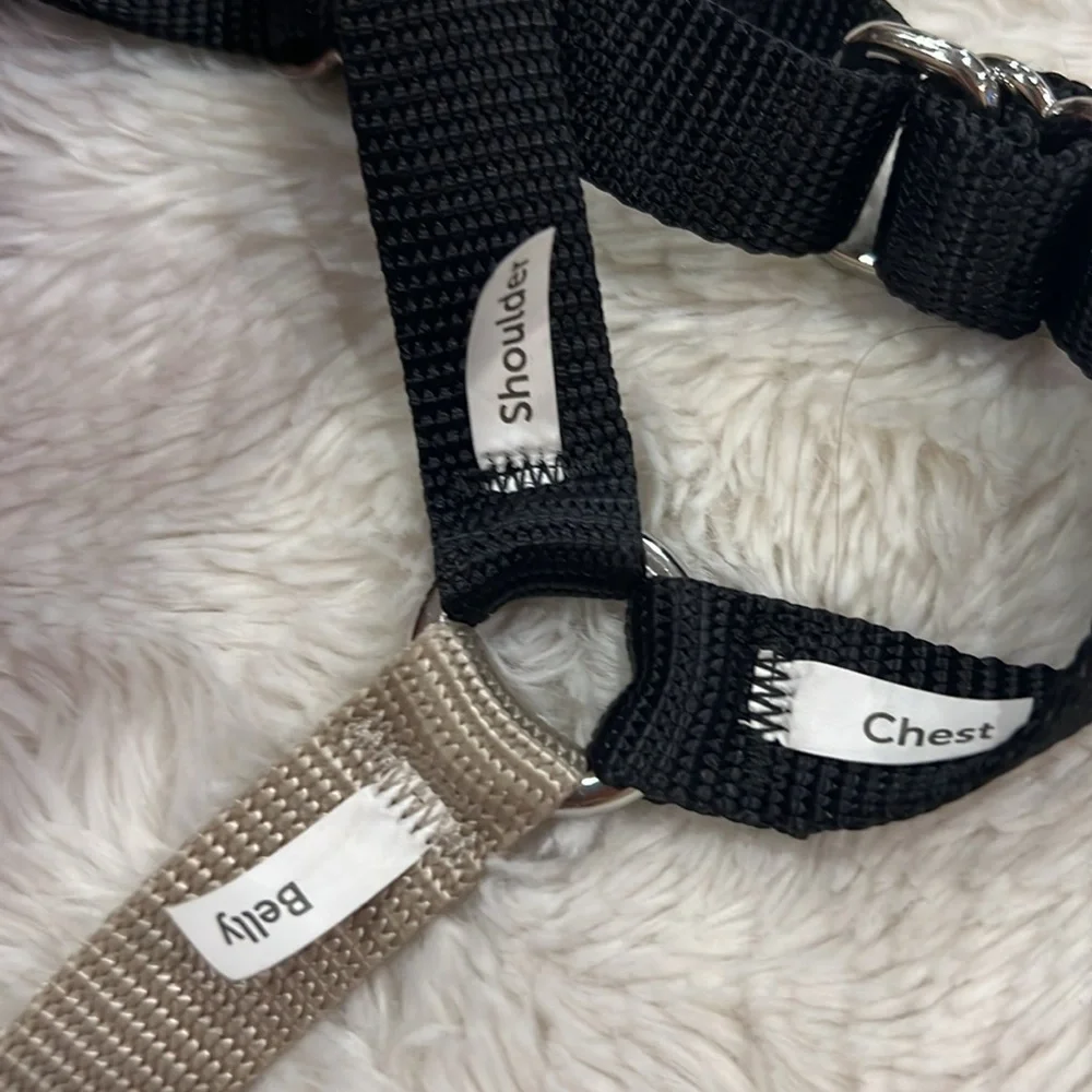 PetSafe good bundle